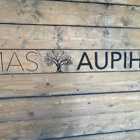 Saint-Rémy-de-Provence Mas Aupihoヴィラ エクステリア 写真