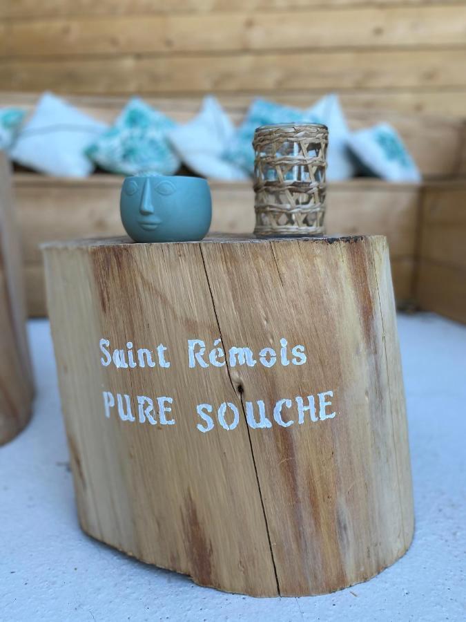 Saint-Rémy-de-Provence Mas Aupihoヴィラ エクステリア 写真