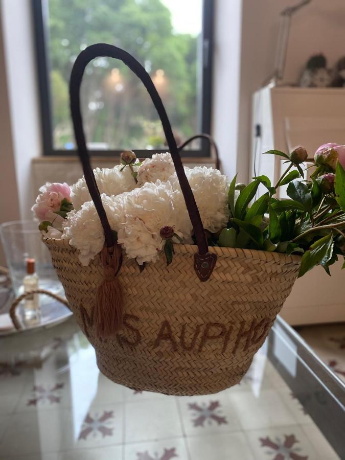 Saint-Rémy-de-Provence Mas Aupihoヴィラ エクステリア 写真